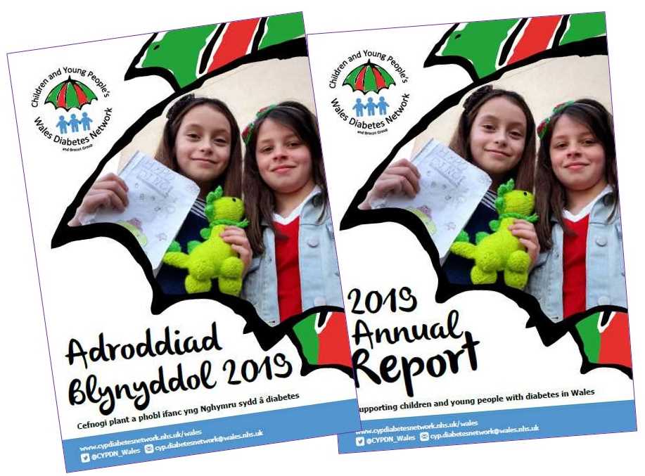 Covers of the Annual Report